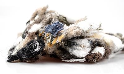 Pet Fiber